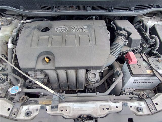 08.jpg