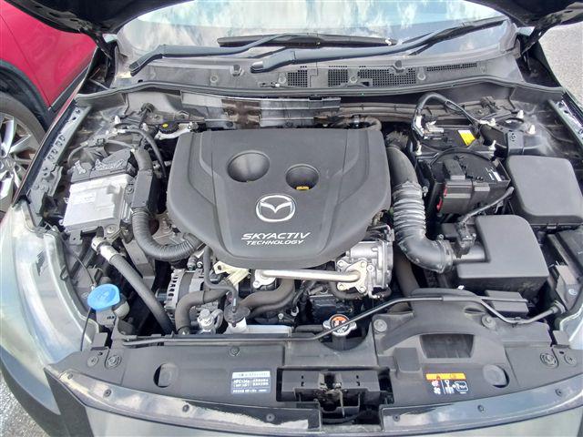 08.jpg