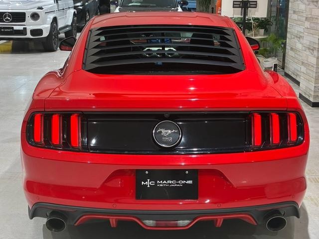 0505075A30260926W00110.jpg