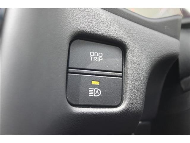 245cc149a1064a7c035b98868141522e.jpg