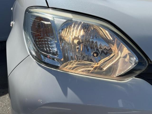 26578491_carP_l_7.jpg