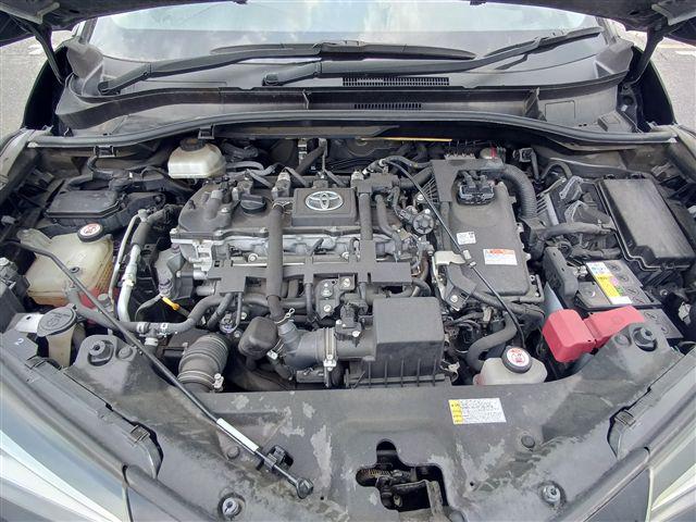 08.jpg