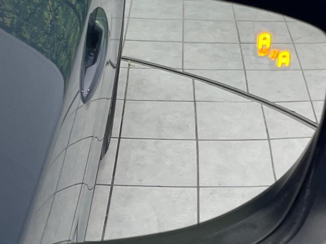 24664882_carP_l_17.jpg