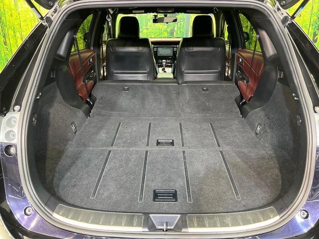 26988929_carP_l_5.jpg