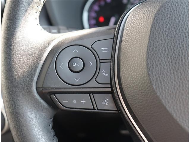 0503103A20261011G00117.jpg