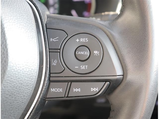0503103A20261011G00118.jpg