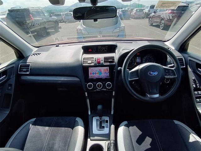 06.jpg
