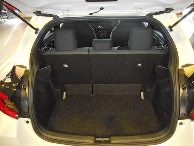 27232776_carP_l_18.jpg
