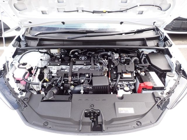 c45ee7fed1bdc906bbb9f460e421e525.jpg