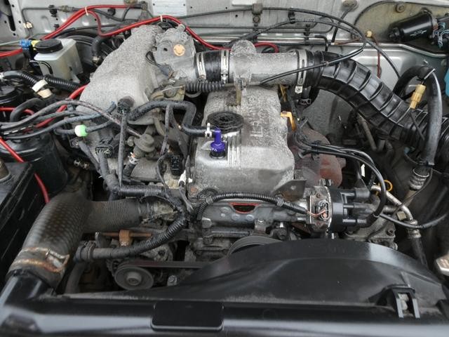 0403642A20260827W00217.jpg