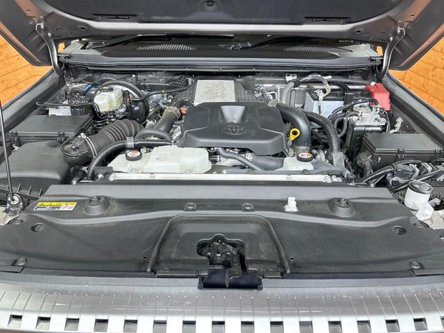 24665317_carP_l_18.jpg