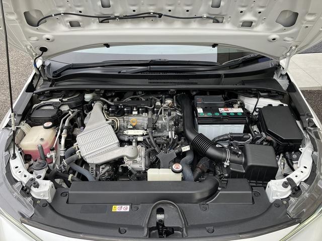 9700315A30260906W00114.jpg