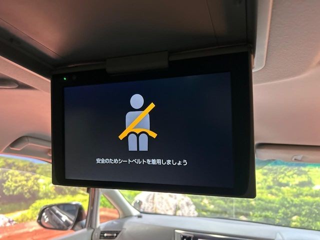 c250e7970a22a7736b8775ab5c25df29.jpg