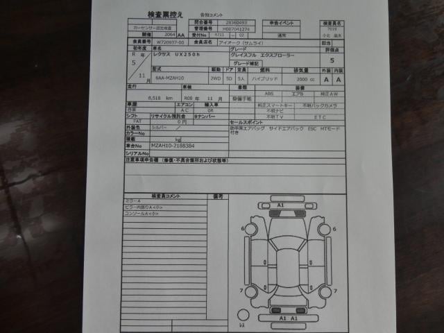 19887991_carP_l_3.jpg