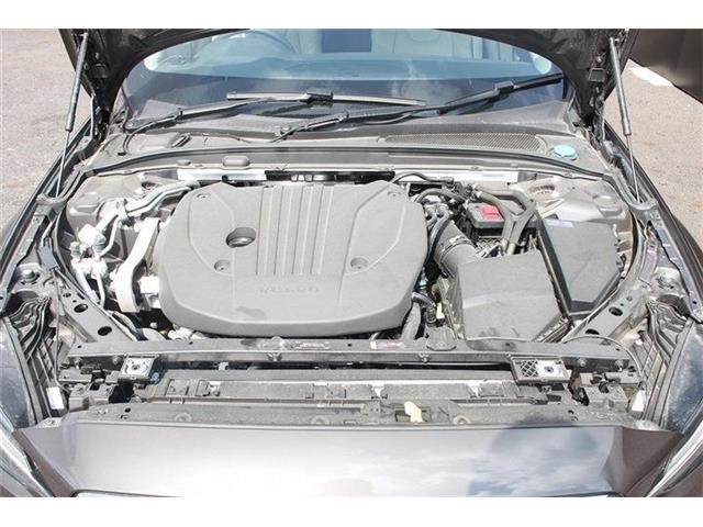 e233e613dd00a4471aaa43d3a2c230cb.jpg