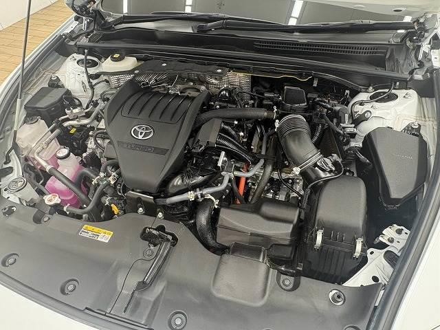 0620200A20260827D00313.jpg