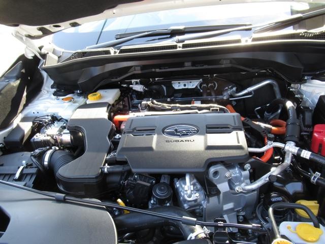 0803753A30260626W00113.jpg