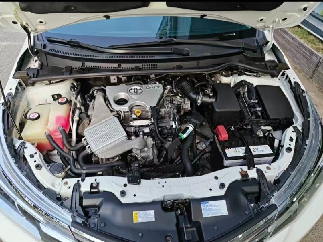 e601e6206005446014b8b72a9265e02c.jpeg