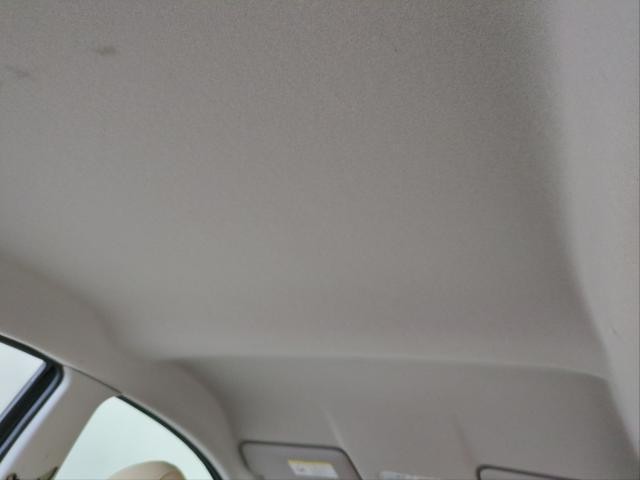 26595629_carP_l_12.jpg