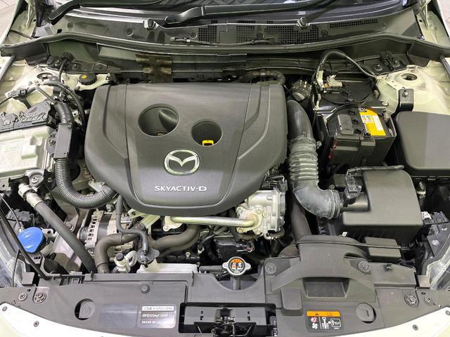 440e03ae303bb008ceffc711463da5d8.jpg