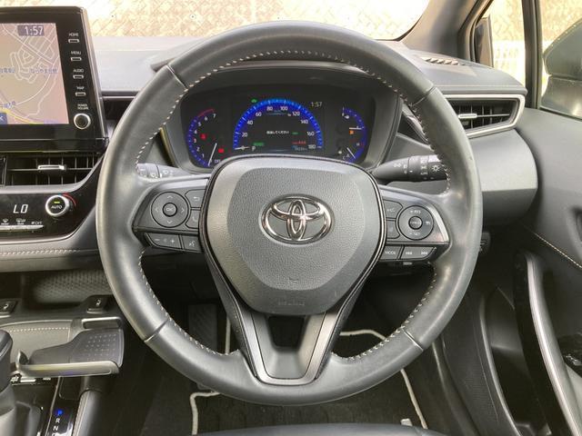 23053454_carP_l_9.jpg