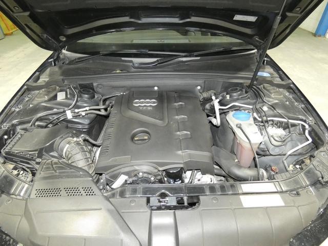 0520246A30260926W00217.jpg