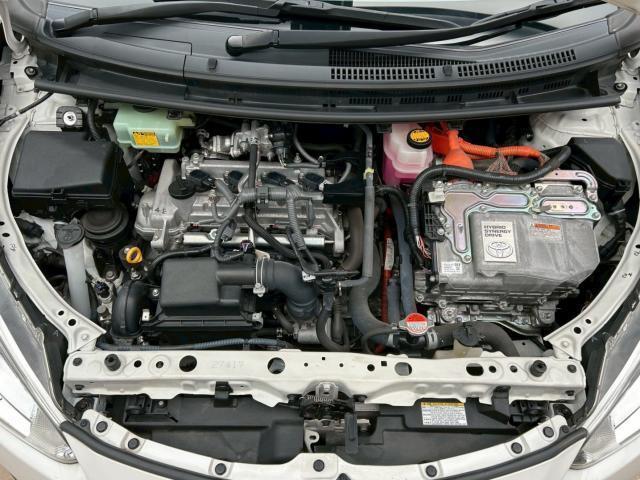24690794_carP_l_14.jpg