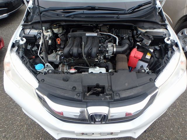 08.jpg