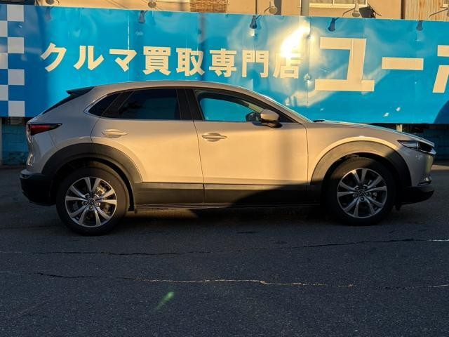 26817150_carP_l_14.jpg