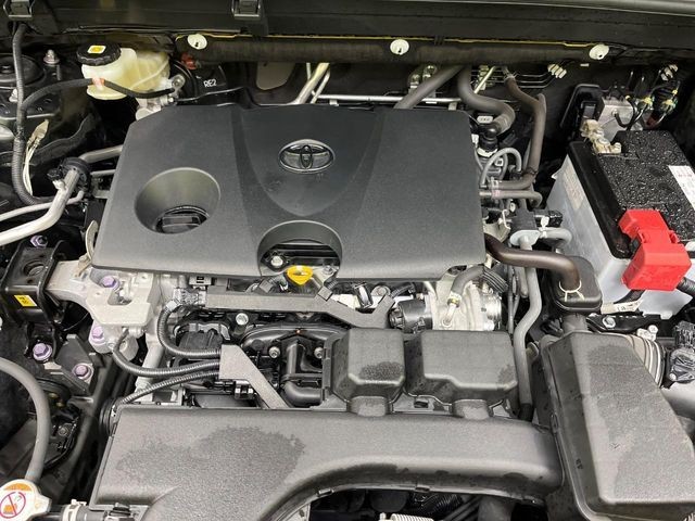 15922bdc57e281a222bf9d631b295335.jpg