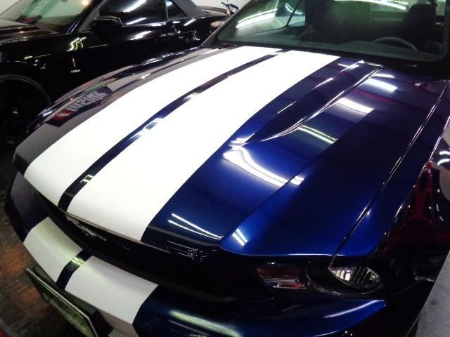 0700895A30260828W00204.jpg