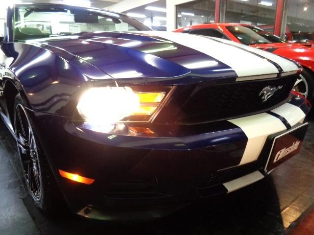 0700895A30260828W00205.jpg