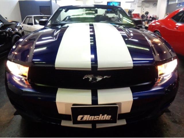 0700895A30260828W00208.jpg