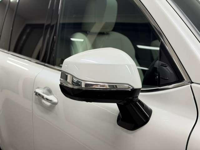 26804053_carP_l_6.jpg