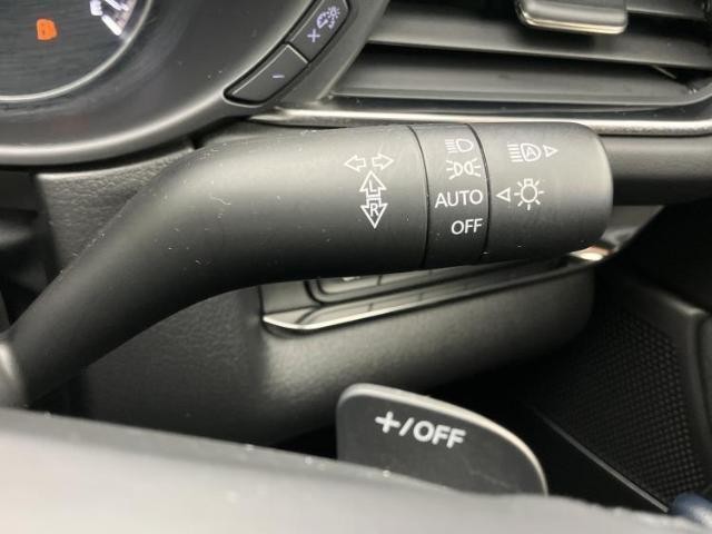 26483958_carP_l_12.jpg