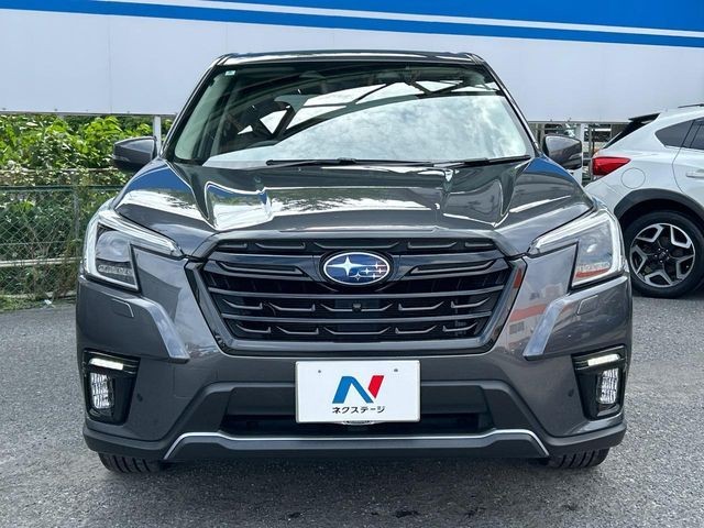 475cab9008c6f690c52a27ec1c52f3a1.jpg