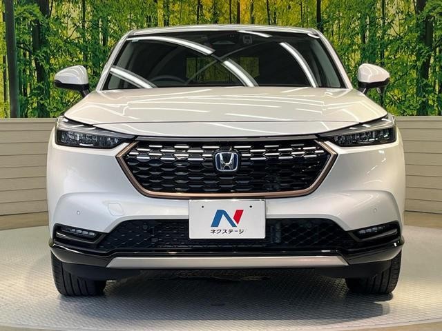 26600225_carP_l_8.jpg