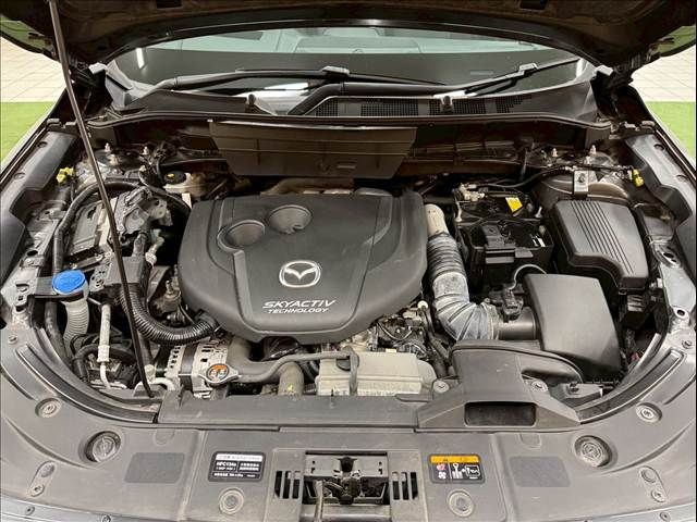 f3638c5b1854b7841a117100e687ceaa.jpg