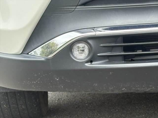 9d36faacb6b00747a3b11181a88b8951.jpg