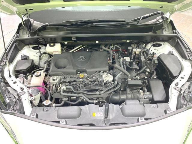 27162430_carP_l_16.jpg