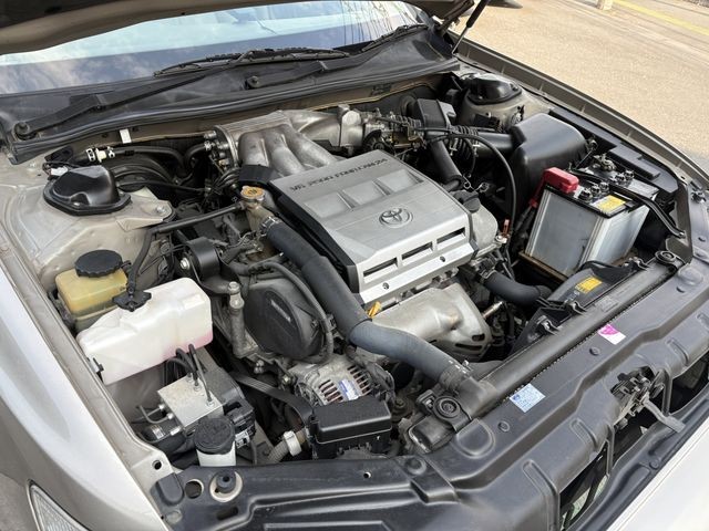 e1726c20900b5878bf7c0690e1828389.jpg