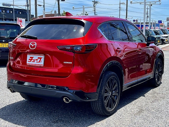 3f12edea6ff15cbf30b6de11f61045ce.jpg