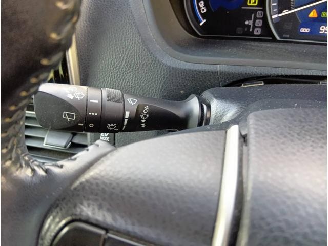 0709137A30260725W00517.jpg