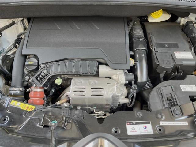 18300738_carP_l_18.jpg