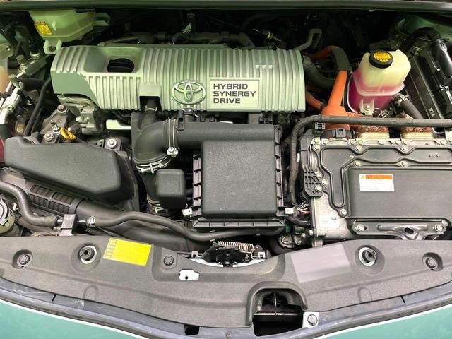 26600676_carP_l_16.jpg