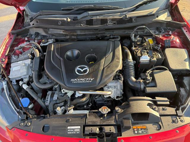 0541891A30260223W00117.jpg