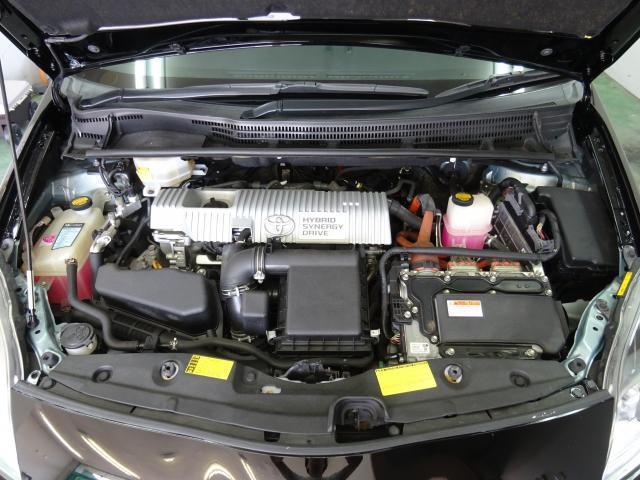 24506294_carP_l_17.jpg