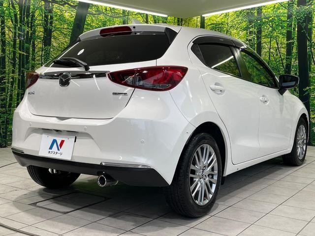 26600879_carP_l_12.jpg