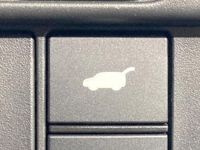 26600885_carP_l_14.jpg