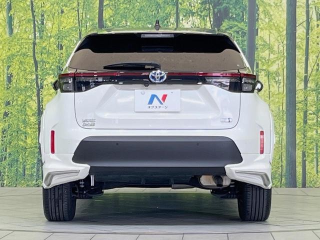 27031947_carP_l_9.jpg